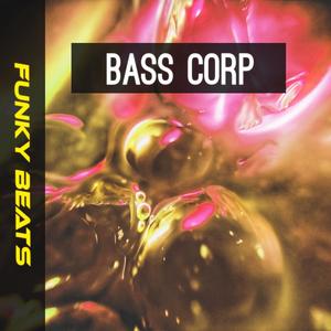 Funky Beats (DJ Diskant Remix)