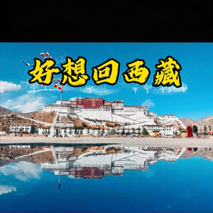 好想回西藏