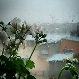 自然音/下雨声/雨天的声音/放松解压/解除压力/清新心情/白噪音/助眠/放松心情/平静心灵15 (Inst.)