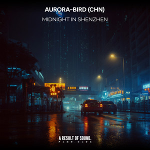 Midnight in Shenzhen (Extended Mix)