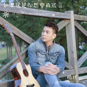 如果这是你想要的谎言