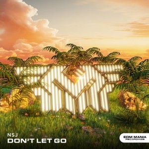 Don't Let Go (Radio Edit)