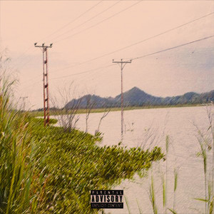 Plegarias de Fibra Optica