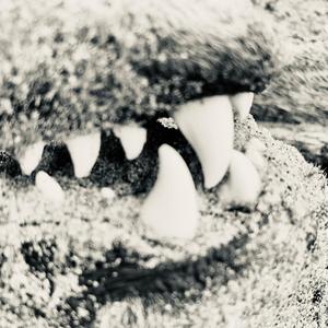 Bite (feat. so so) (fangmadesoso, rosscavado archive & so so archive Remix Extended|Explicit)
