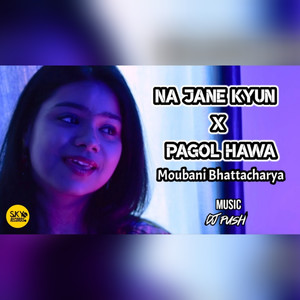 Na Jane Kyu / Pagol Hawa