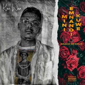 Imin'eMnandi Kuwe (feat. Bravo Le Roux) [Explicit]