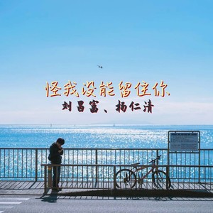 怪我没能留住你