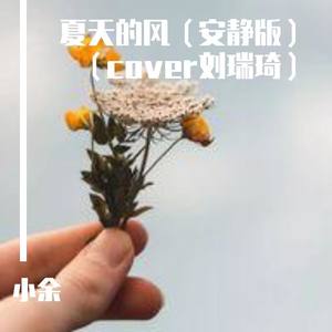 夏天的风 (安静版)
