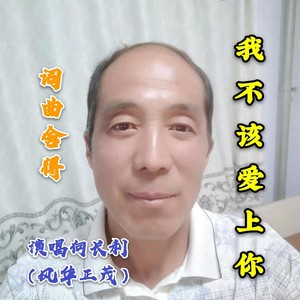 我不该爱上你 (伴奏)