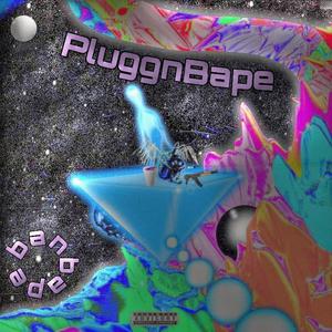 PluggnBape (Explicit)