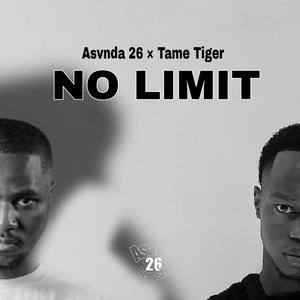 No Limit (feat. Tame Tiger)