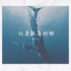 化身孤岛的鲸