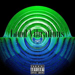 Good Vibrations (feat. Pig Haynes) (Explicit)
