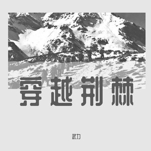 穿越荆棘 (伴奏)