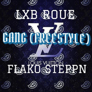 GANG (FREESTYLE) (feat. FLAKO STEPPN) (Explicit)