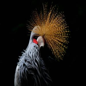 Shark Bait (Explicit)