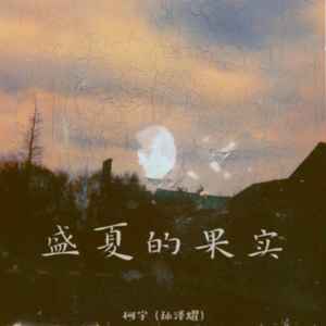盛夏的果实 (也许放弃才能靠近你)-柯宇（孙泽耀）