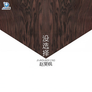 没选择 (伴奏)