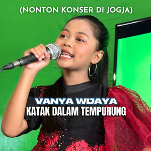 Katak Dalam Tempurung (Nonton Konser Di Jogja)