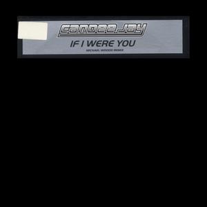 If I Were You (Michael Woods Extended Remix)