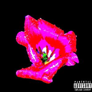 Tears of Triumph (feat. SlideFam Mal) (Explicit)