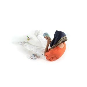 Dachschaden (Explicit)