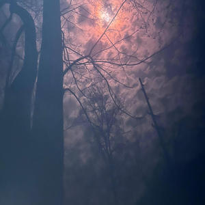 Run (feat. Chris Egerton, Charles Stacy & Maxwell Quinn) (Impromptu at the Music inn)