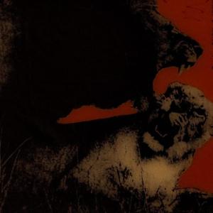 Entre Canibales (feat. Høbak) (Electroacústico)