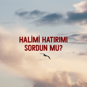 Halimi Hatırımı Sordun Mu, Vol. 2