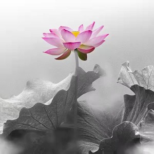 与我无关-李之意