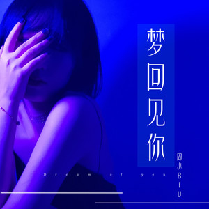 梦回见你 (伴奏)