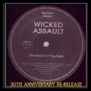 The Rebel of The Funk (feat. Wicked Assault, Andre (Jack Boogie) Jackson, Ben X & Logical Rage) [Explicit]