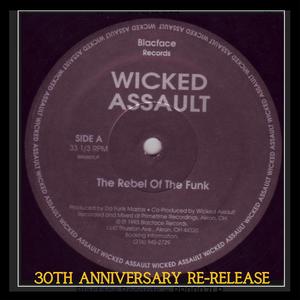 The Rebel of The Funk (feat. Wicked Assault, Andre (Jack Boogie) Jackson, Ben X & Logical Rage) (Explicit)
