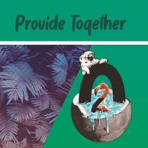 Provide Together