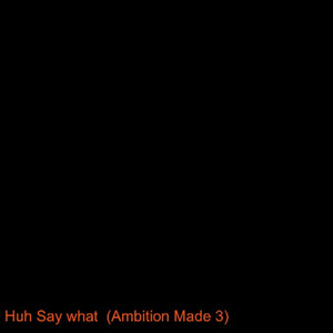 Huh Say what (Ambition Made 3)