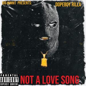 Not A Love Song (feat. DopeBoy Rilla) [Explicit]