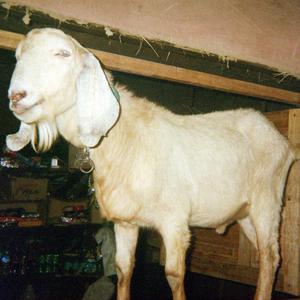 hats off to ranger Jeff