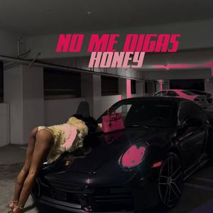 NO ME DIGAS HONEY (ORWELL)