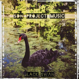 Black Swan (Radio Edit)