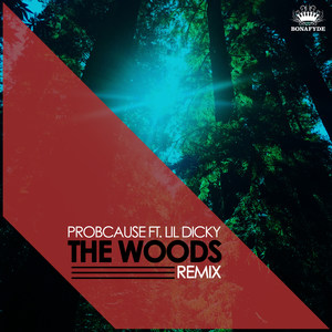 The Woods[feat. Lil Dicky] (Remix|Explicit)