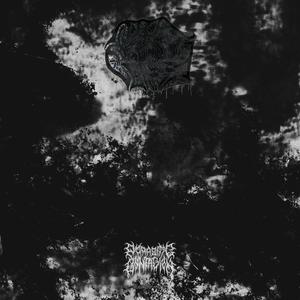 Extradimensional Malevolence (VIP Mix)