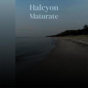 Halcyon Maturate