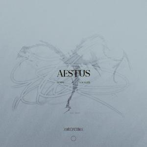 AESTUS