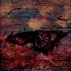 Your Eyes Reflect The Light Of The Sun Into Mine