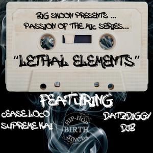 LETHAL ELEMENTS (feat. DATZDIGGY, DJB, SUPREME KAI & CEASE LOCO) [Explicit]