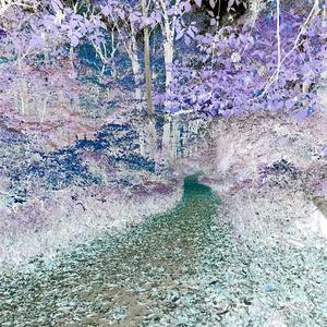 24/7 (feat. Gutterboysouz) (Explicit)