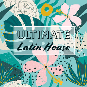 Ultimate Latin House: Brasil Tempo 2019, Zumba and Bachata, Sexual, Emotional Beats