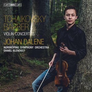 Concerto for Violin and Orchestra in D major, Op. 35 TH 59 - 1. Allegro moderato