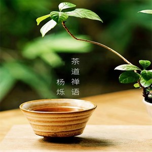 杨烁 - 茶道禅语