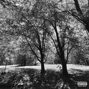 New Beginnings (Explicit)